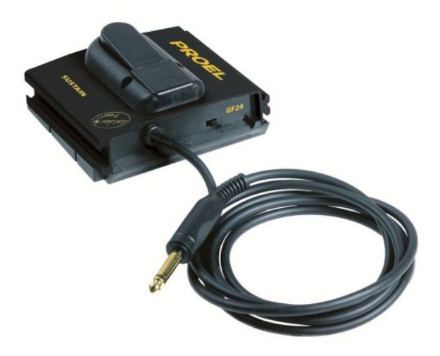 Picture of Instrument Control Pedal Sustain Unlatching Cable